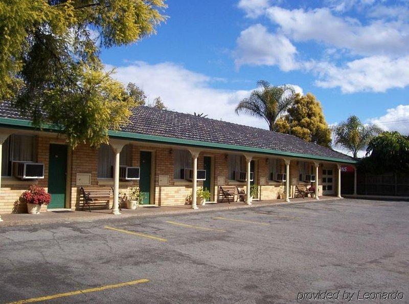 Hunter Valley Motel Cessnock Kültér fotó